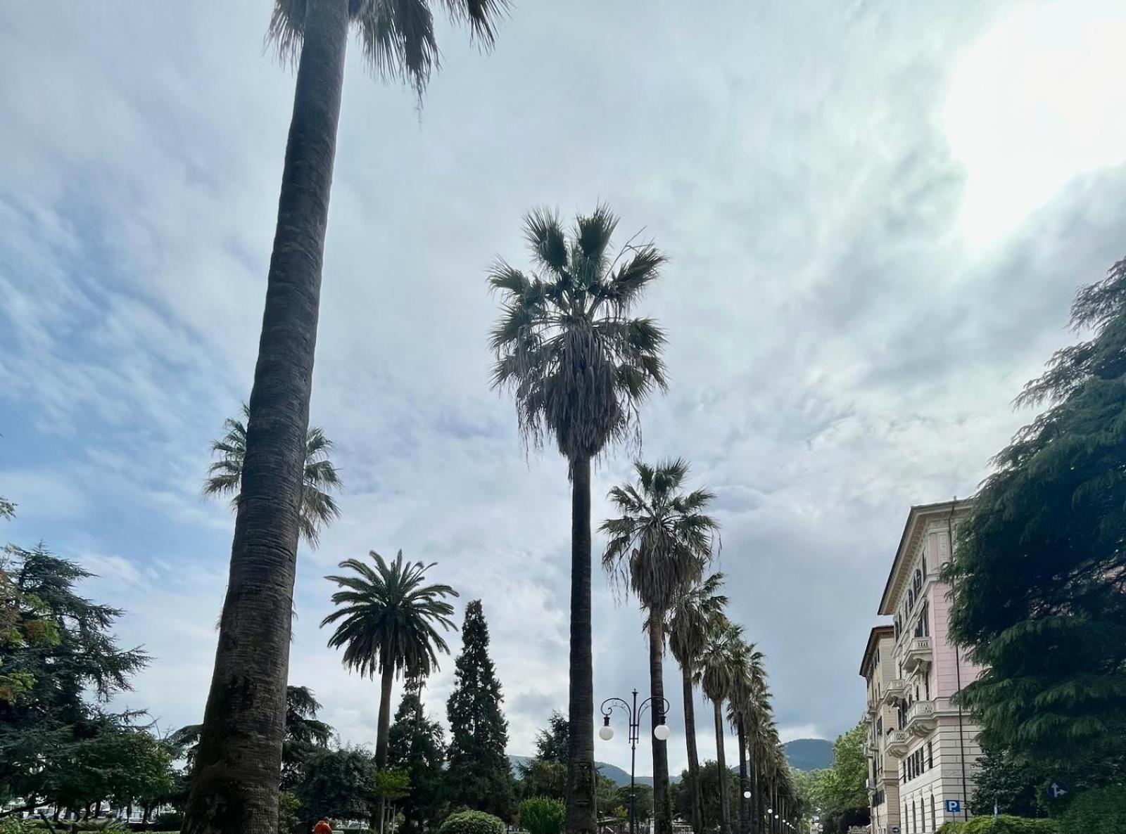 Breathe Liguria - Lucy 1 Bedroom And 1 Apartment In A Newly Renovated Nineteenth-Century Building In The Historic Center Near The Sea La Spezia Exteriér fotografie